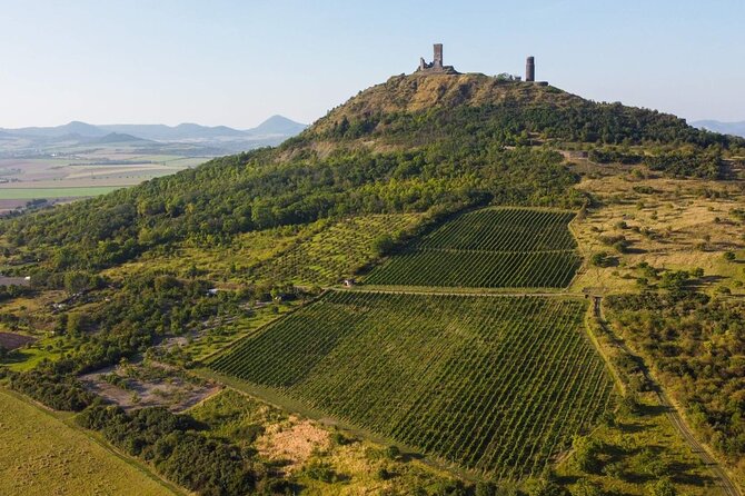 A delightful wine tasting in the scenic countryside with lunch - Why this wine day trip works beyond Prague
