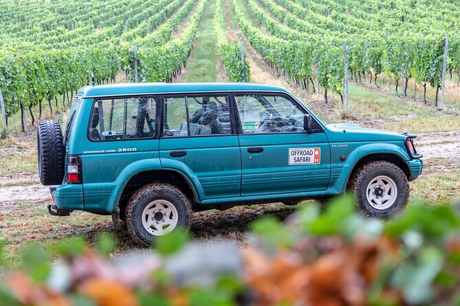 A delightful wine tasting in the scenic countryside with lunch - When to go and what to wear
