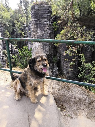 Bohemian Paradise (Český ráj) UNESCO geopark nature walks - What the $197.71 price really covers