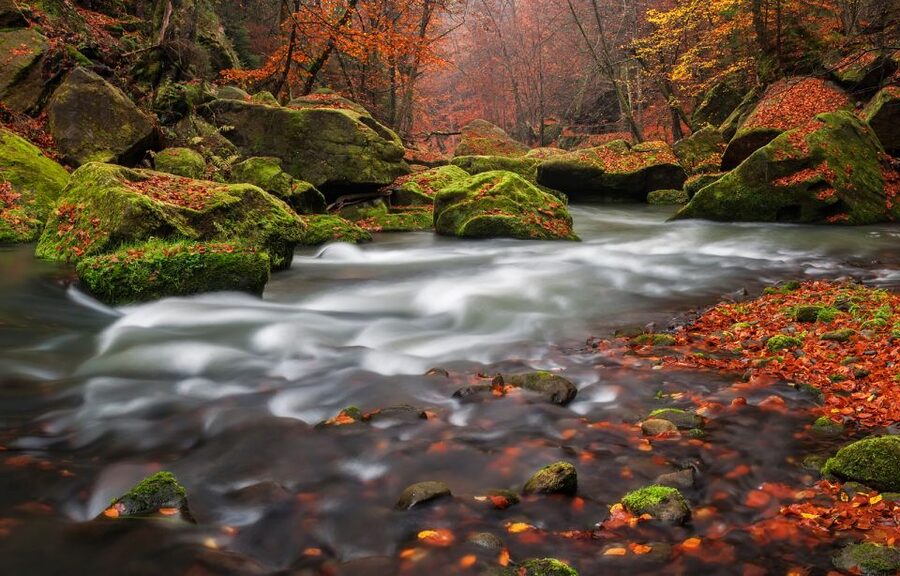 Bohemian Switzerland: Private Day Trip from Prague - A River Cruise Adds a Quieter Finish