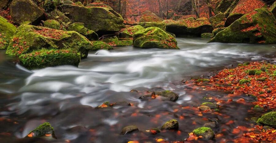 Bohemian Switzerland: Private Day Trip from Prague - Lunch Is Flexible, But Not Included