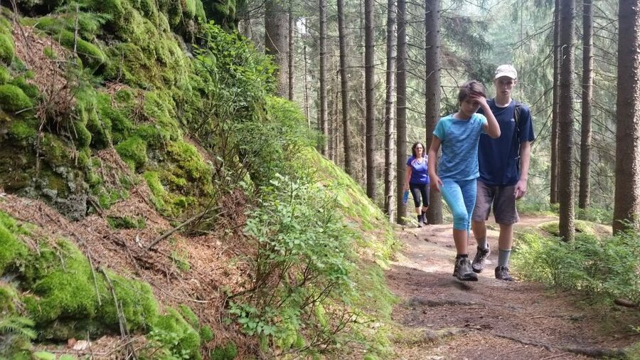 Bohemian Switzerland: Private Day Trip from Prague - The Walk to Pravčická Brána