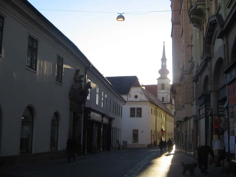 Brno: Historic Downtown Walking Tour - The Cathedral of Saints Peter and Paul