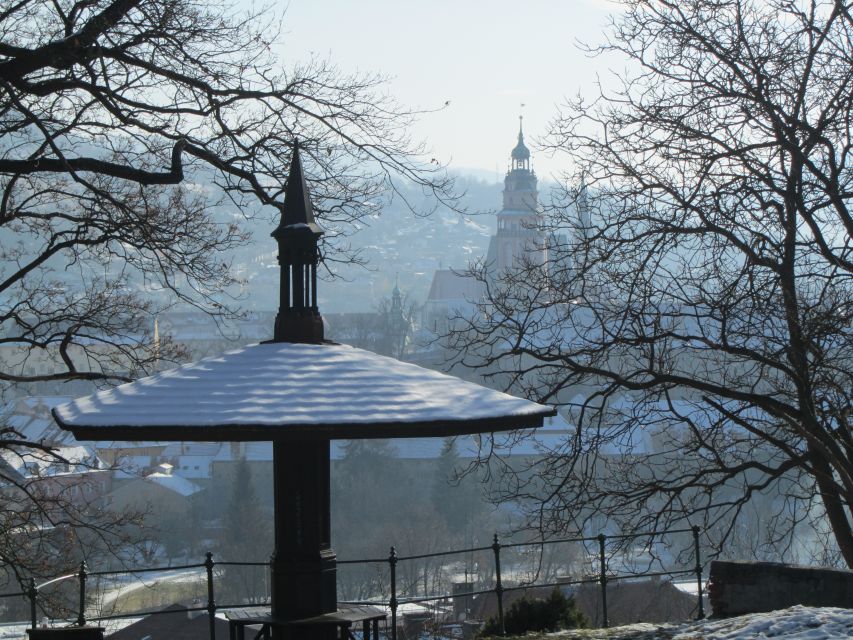 Český Krumlov: 2 Hour Private Walking Tour with Guide - Castle courtyards, Cloak Bridge, and Bear Moat