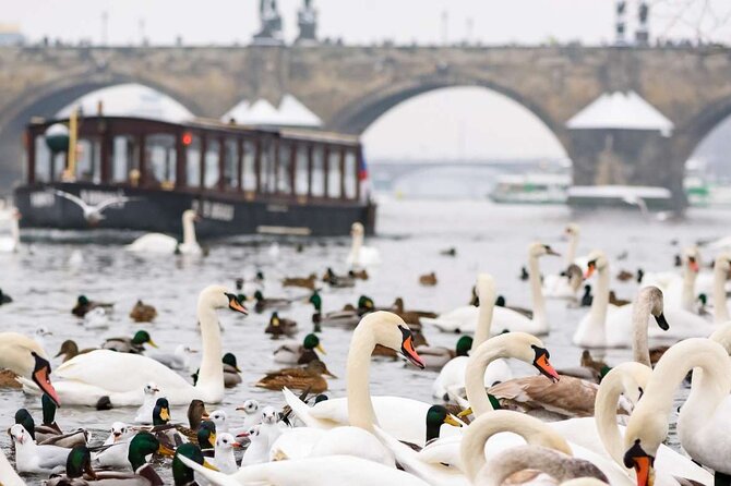 Charles Bridge: River Boat Cruise & Guided Tour ️with PragueWay - Prague Castle from the bridge
