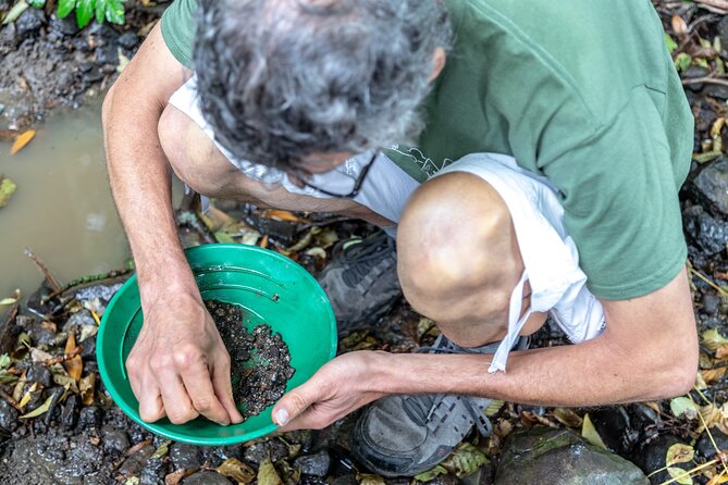 Countryside, Czech Garnet Panning, Farm,Lunch&Beer 4WD Adventure - The pace, comfort, and practical tradeoffs