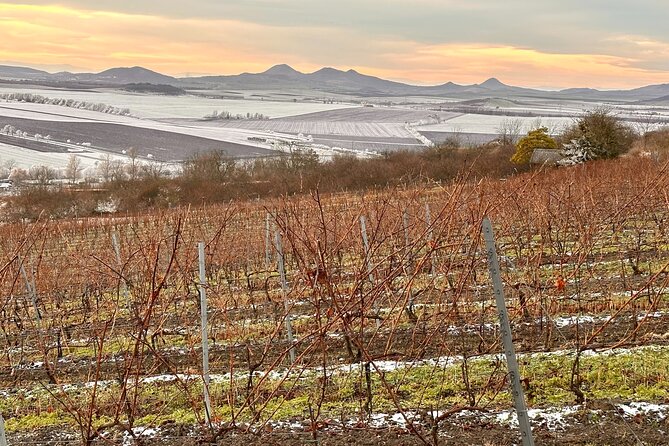 Cozy Winter Countryside Tour 4x4: Experience Authentic Bohemia - The guide makes the difference