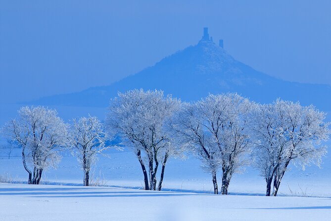 Cozy Winter Countryside Tour 4x4: Experience Authentic Bohemia - Wine country at Johann W Winery