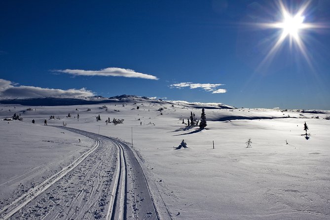 Cross-Country Skiing Guided Tour From Prague - Leaving Prague at 7:30 am