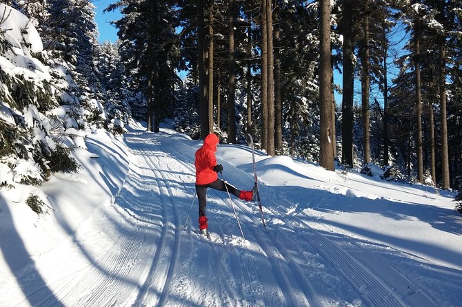 Cross-Country Skiing Guided Tour From Prague - Five hours in the Jizera Mountains