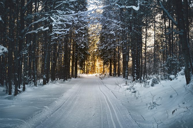 Cross-Country Skiing Guided Tour From Prague - A useful choice for mixed ability groups