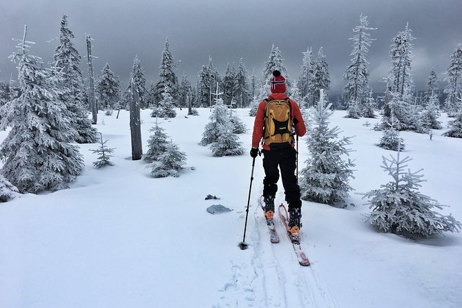 Cross-Country Skiing Guided Tour From Prague - Practical details before you book