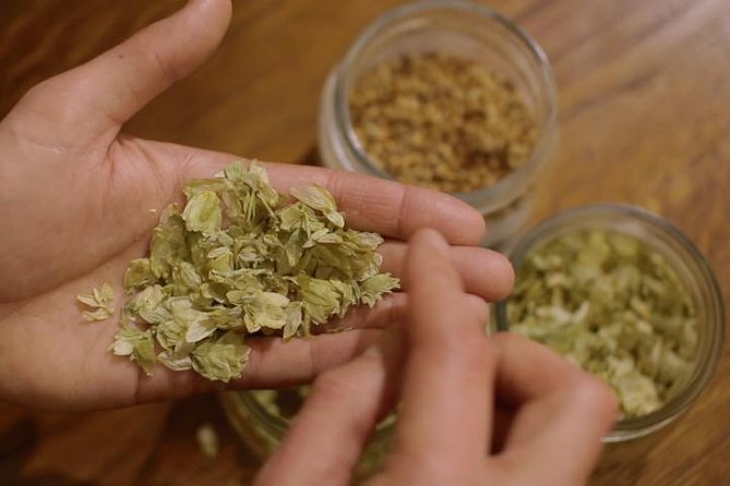 Czech Beer Tasting Experience - Seven Czech beers, one lively introduction