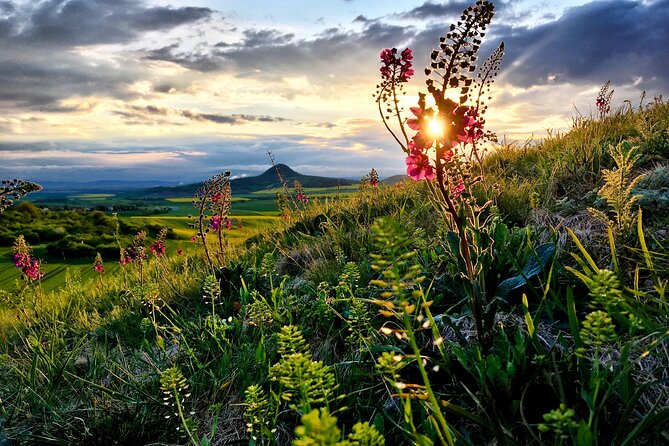 Czech garnet panning, scenic drive, farm & cheese, lunch & beer - The guide makes the difference