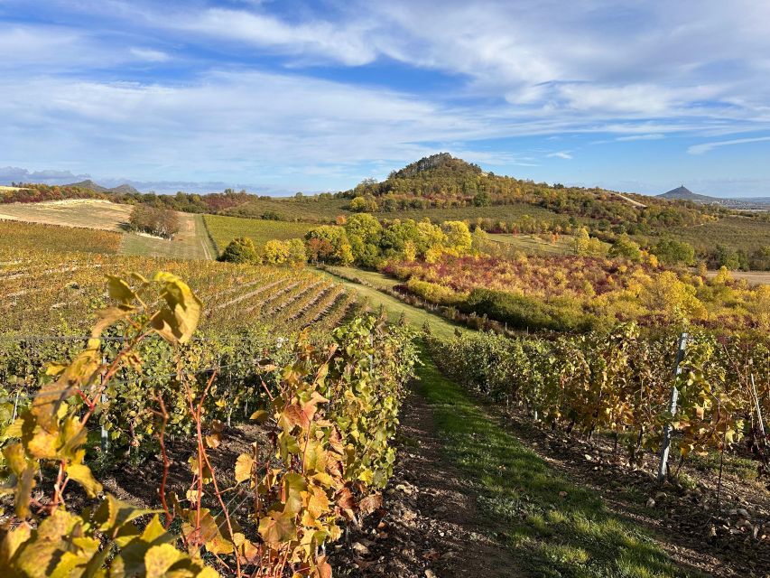 Czech Vineyards and Wine Tasting 4WD Tour with Lunch - Vineyards, volcanic hills, and five Gothic castles