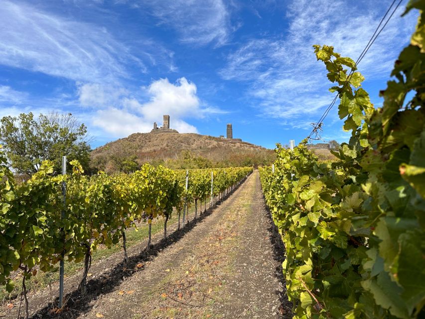 Czech Vineyards and Wine Tasting 4WD Tour with Lunch - A Czech lunch with Pilsner Urquell and local lager