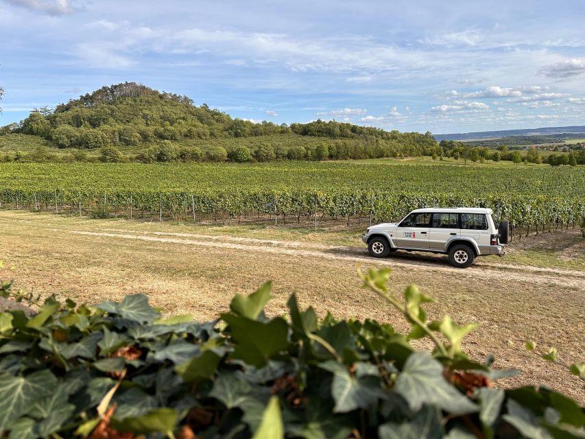 Czech Vineyards and Wine Tasting 4WD Tour with Lunch - A second vineyard and a slower afternoon