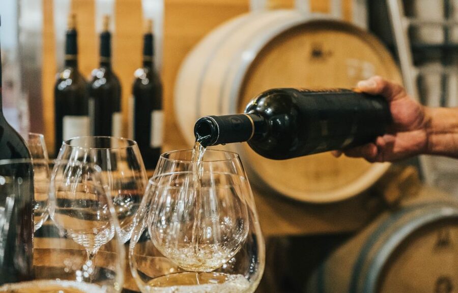 Czech Vineyards and Wine Tasting 4WD Tour with Lunch - What the $387 price gets you
