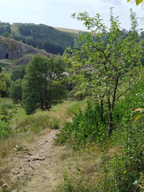 Discover Moravian Karst: Seven Stops, One Tailored Tour - Starting in Brno with a small group