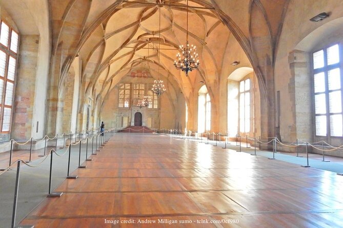 Explore the Historic Prague Castle: Private Half-Day Walking Tour - A guide who adjusts the pace