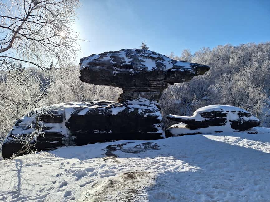 From Dresden: Bastei Bridge & Bohemian Switzerland Day Trip - Should you book the Bastei and Bohemian Switzerland trip?