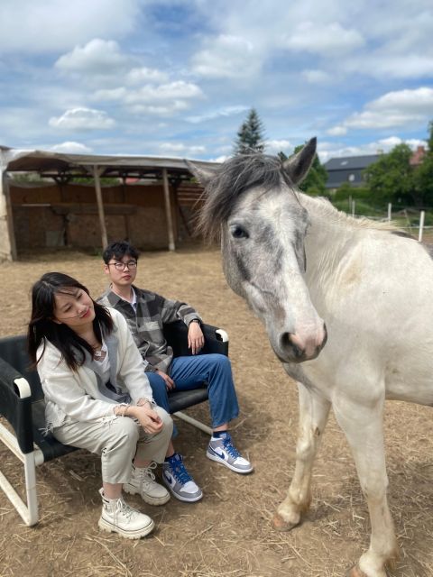 Horseback riding tour near Prague - The first 15 minutes: meet the horses and learn the basics
