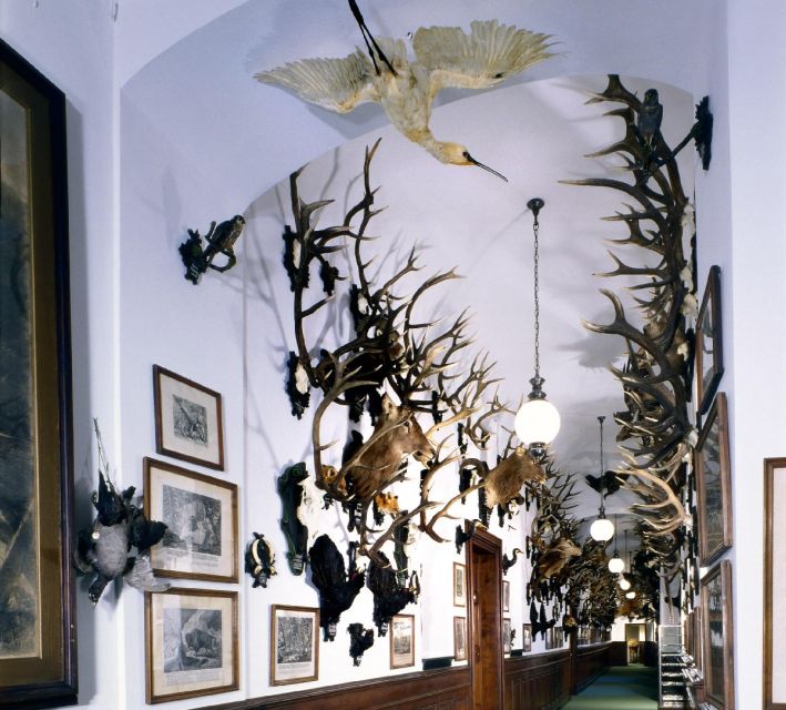 Konopiště: Chateau Tour from Prague - My booking advice for Konopiště