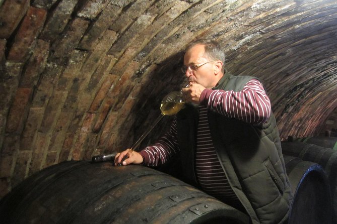 Moravian wine trails - Lednice: gardens first, chateau second