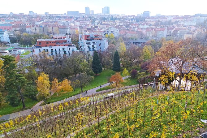 Non-touristy Prague - Cozy Neighborhoods - Private Tour - Folimanka Park and the old fortification wall