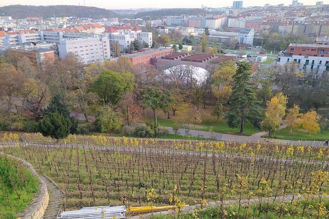 Non-touristy Prague - Cozy Neighborhoods - Private Tour - Who will get the most from this tour