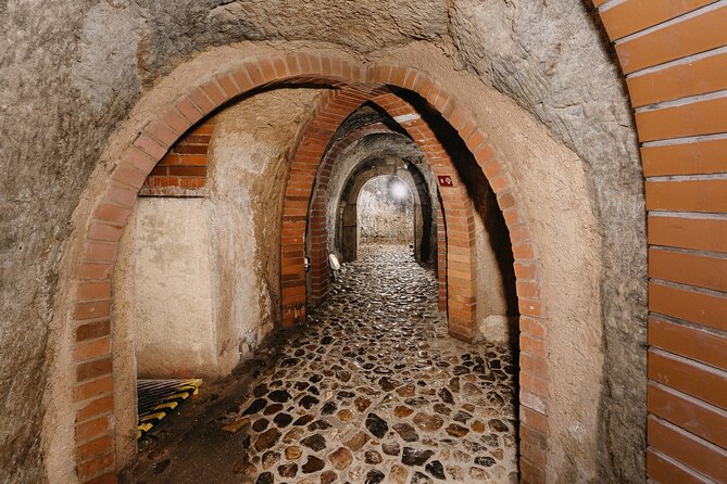 Pilsen Historic Underground Tour with a Glass of Beer - Key points to know before you book