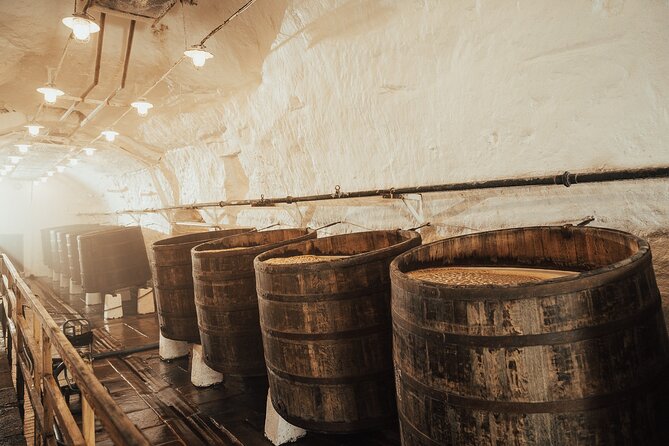 Pilsner Urquell Brewery Tour with Beer Tasting - Food, souvenirs, and extending the visit