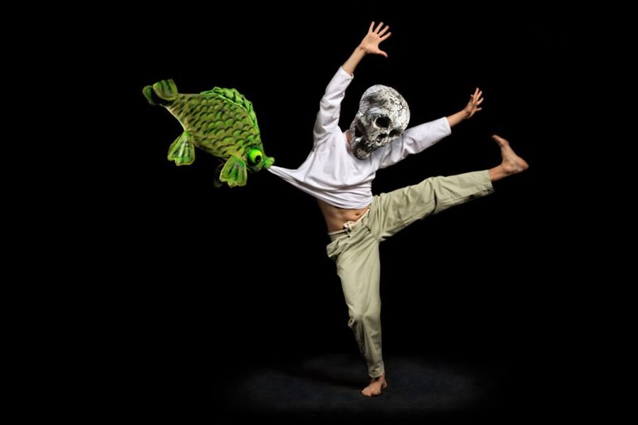 Prague: 1.5-Hour Black Light Theater Srnec Performance - Is the $31 price good value?