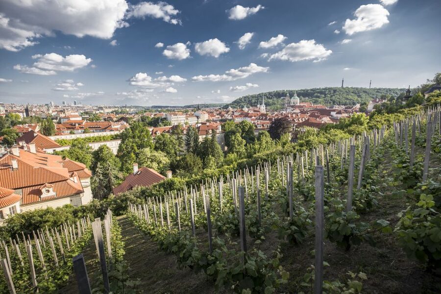 Prague: 3–Hour Castle Grounds Walking Tour and River Cruise - A quiet cruise through the Devil’s Stream