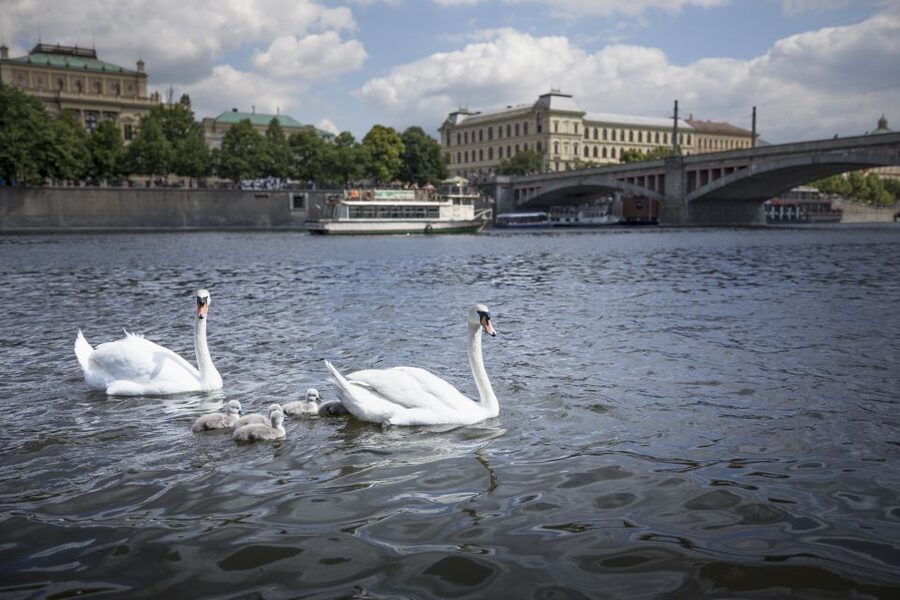 Prague: 3–Hour Castle Grounds Walking Tour and River Cruise - Taking the tram up to Castle Hill