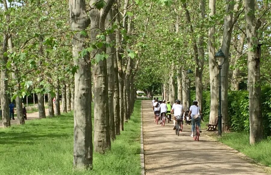 Prague "ALL-IN-ONE" - big tour - Why this route works for a first day in Prague