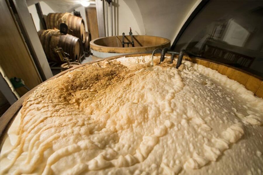 Prague: Beer Tasting and Brewery Tour - Who should book this beer tour?