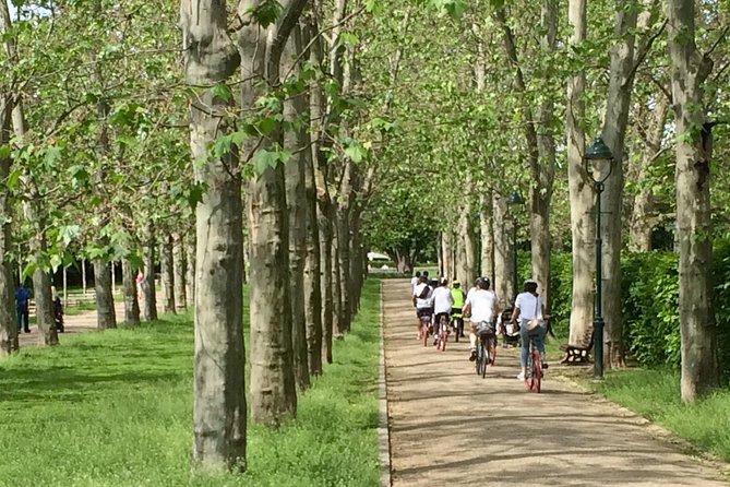 Prague Bike Tour - Stunning Viewpoints, Castle, City & Park - What the equipment and group size mean for you