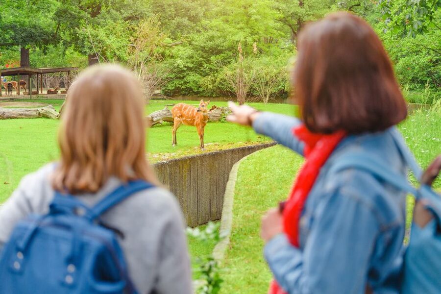 Prague: Boat Ride to the Zoo and Admission Ticket - My practical advice before you book