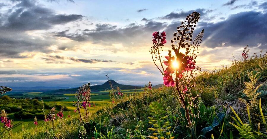 Prague: Bohemian Uplands Garnet Panning&Animal Farm 4WD Tour - Why the small group matters