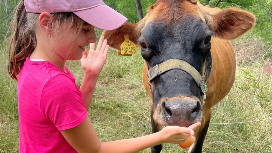Prague: Bohemian Uplands Garnet Panning&Animal Farm 4WD Tour - Is $283 per person good value?