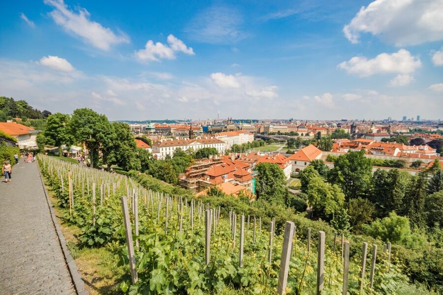 Prague Castle 2.5-Hour Tour Including Admission Ticket - St. Vitus Cathedral, the visual centerpiece
