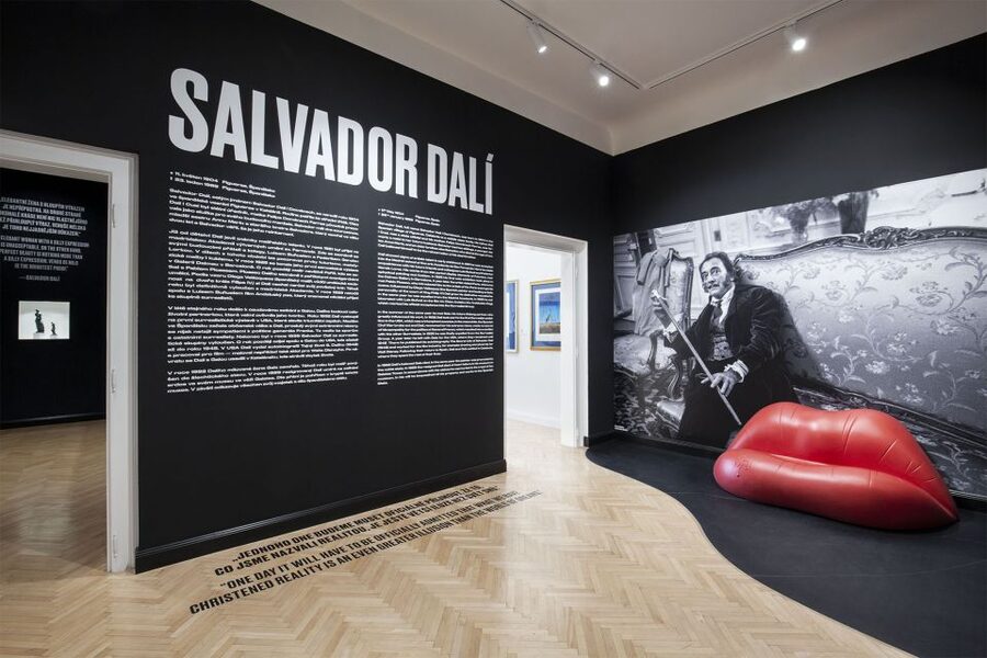 Prague: Central Gallery Ticket with Two Exhibitions - Dalí and Warhol in the Heart of Old Town