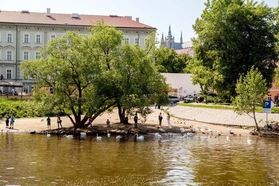 Prague Cruise: 1-Hour on the River Vltava - Who will get the most from this cruise
