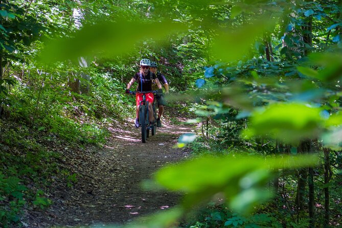 Prague E-Mountain Biking Adventure In The Bohemian Paradise - What the e-bike changes