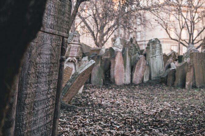 Prague Full-Day City Walking Tour and Petrin Tower - Prague Castle and St. Vitus Cathedral