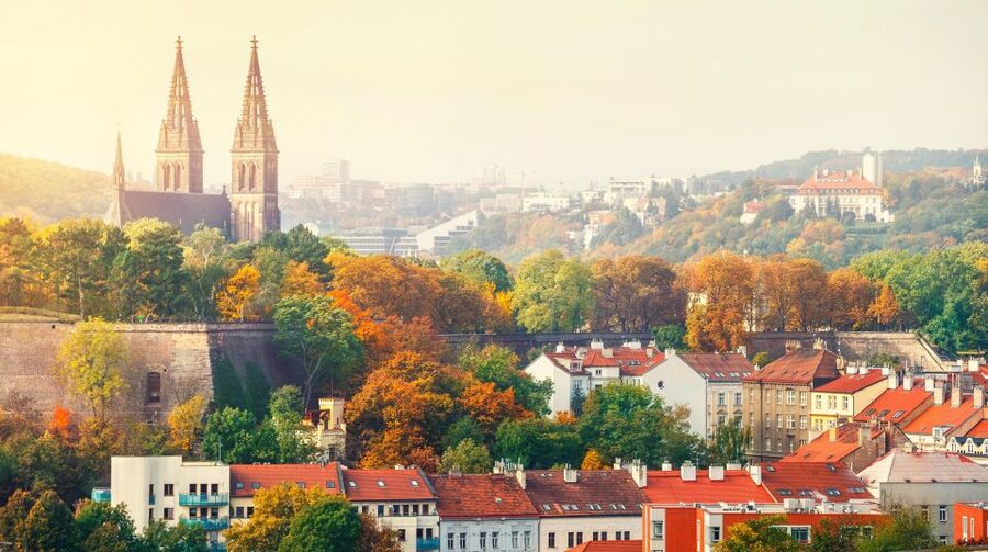 Prague: Guided tour to the historic fortress of Vyšehrad - Who should book this private Vyšehrad tour?