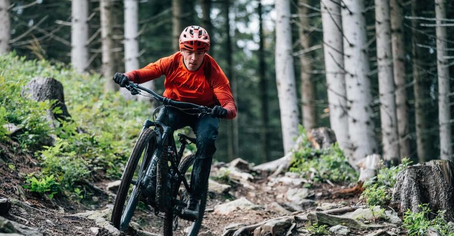 Prague Mountain Biking: Blast Through The Best Singletracks - Forest singletracks and Berounka River views