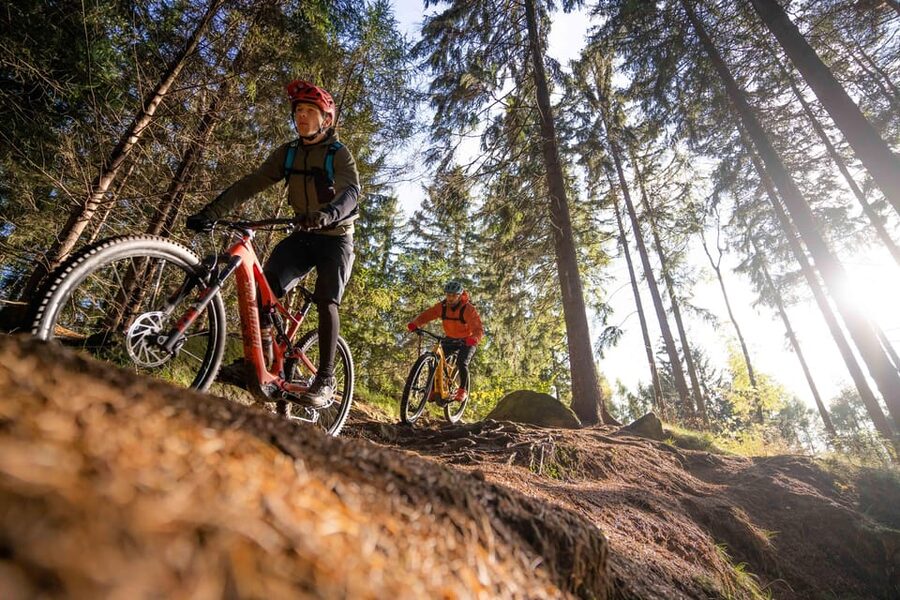 Prague Mountain Biking: Blast Through The Best Singletracks - Weather, fitness, and what to bring