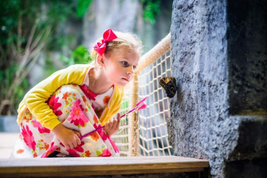 Prague: Papilonia Butterfly House - Who will enjoy Papilonia most